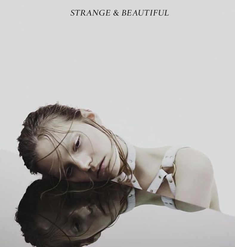 Read more about the article Inside Lethal Looks Salon: Modern Beauty and Bold Styles