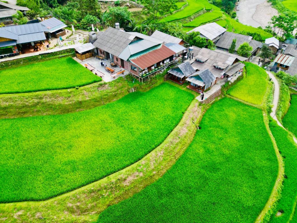 Read more about the article Experience Group Gatherings at Paddy View Homestay by Villa Chee
